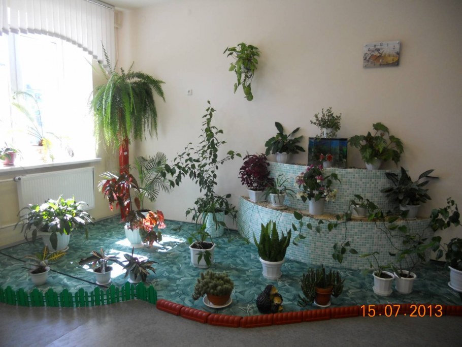 Зимний сад в ДОУ