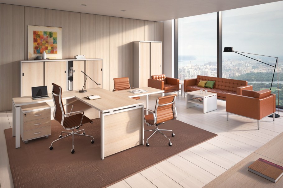 Флеш Уайт кабинет руководителя