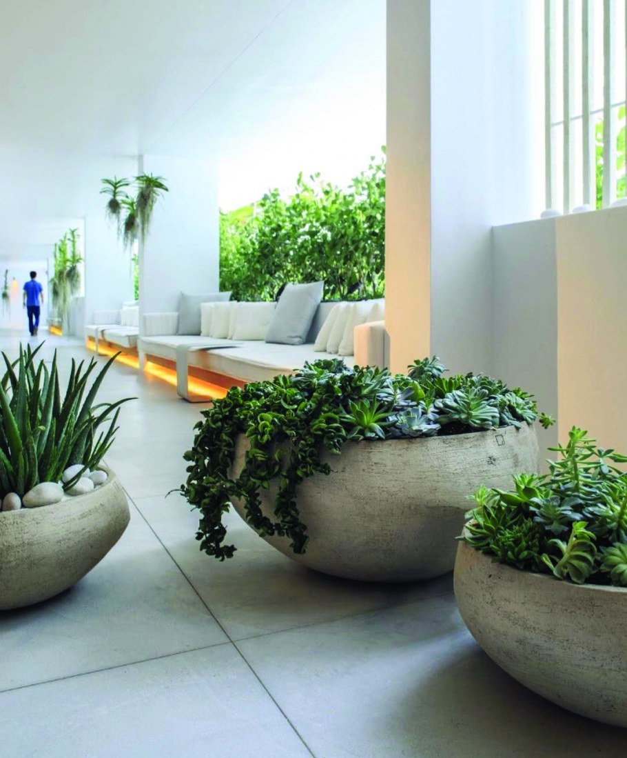 Озеленение в горшках