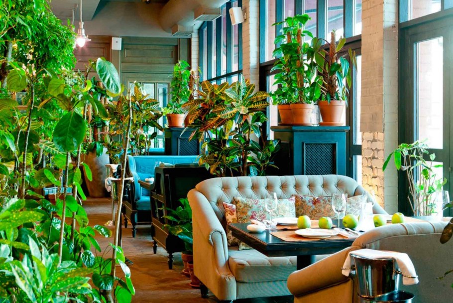 Комнатные растения в интерьере