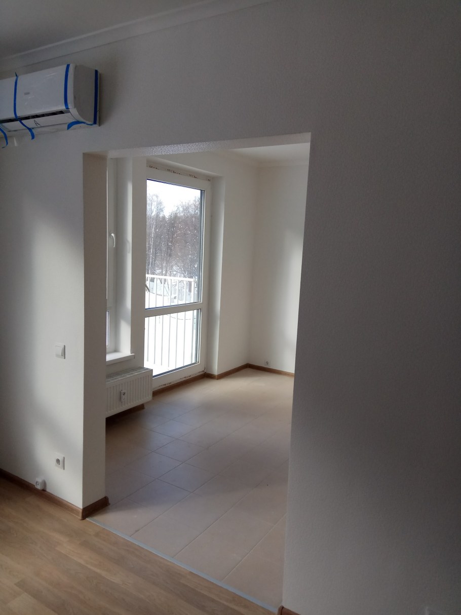 Кухня с аркой в гостиную