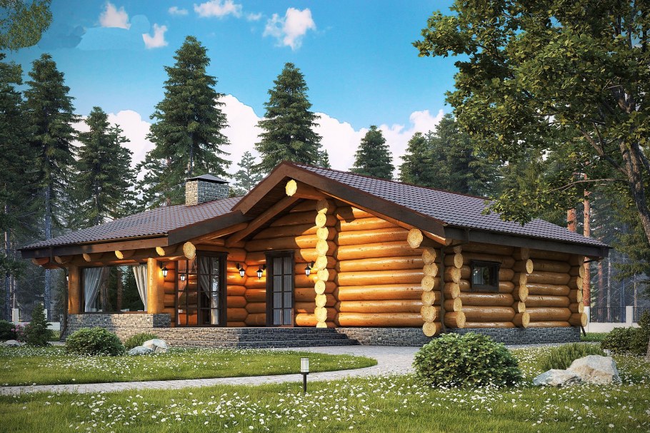 Баня из оцилиндрованного бревна проекты 100 кв