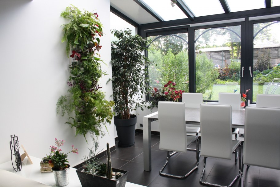 Растения в интерьере фитодизайн