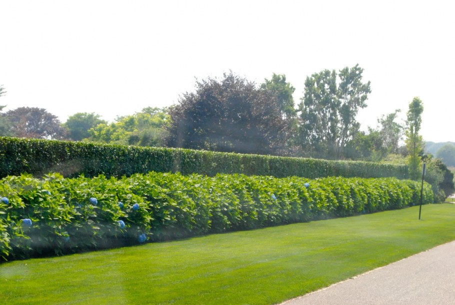 Живая изгородь искусственная силикон