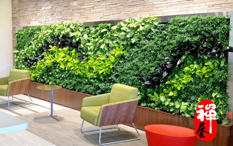 Лиана Грин вертикальное Озеленение