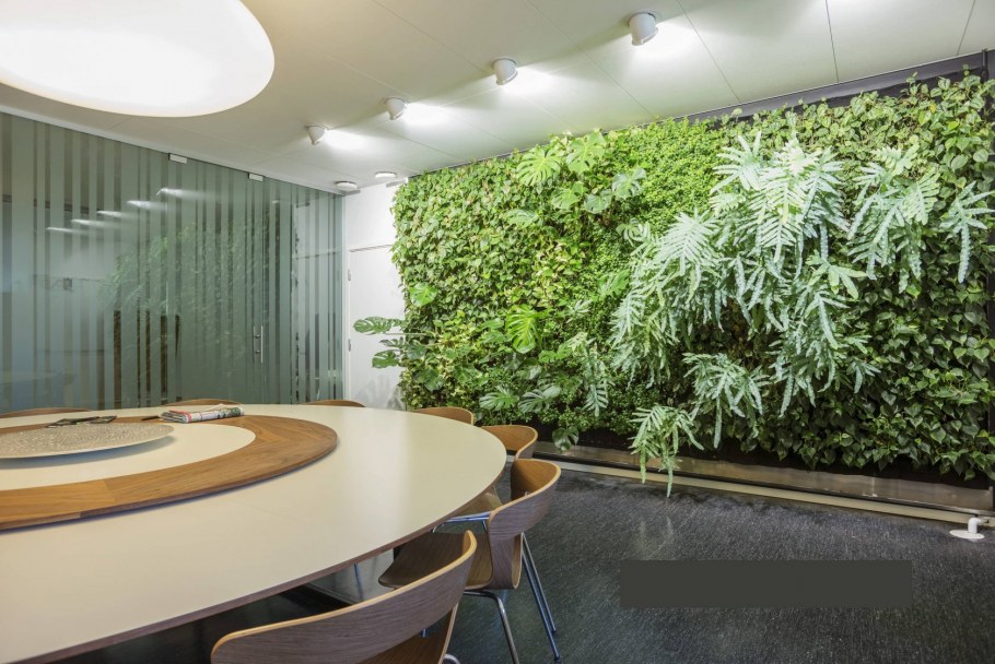 Фитостена ягель