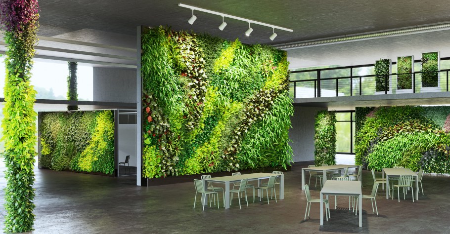 Растения за стеклом в интерьере