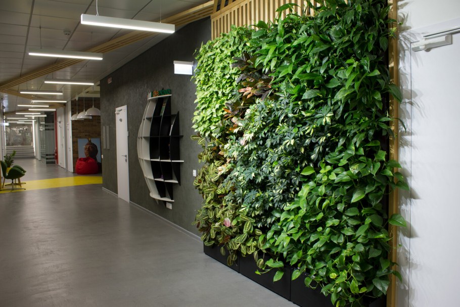 Фитостена на кухне