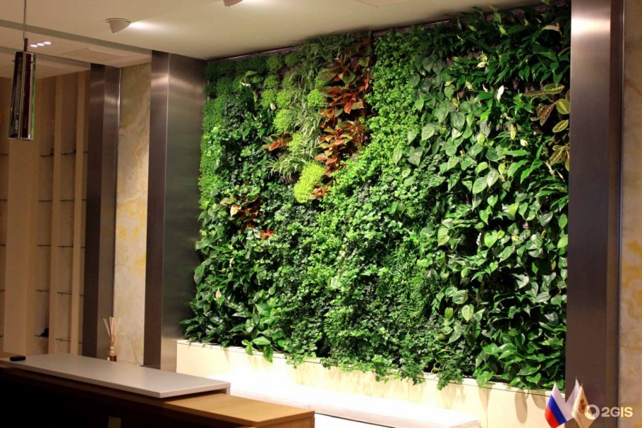 Вертикальное Озеленение фудкорт