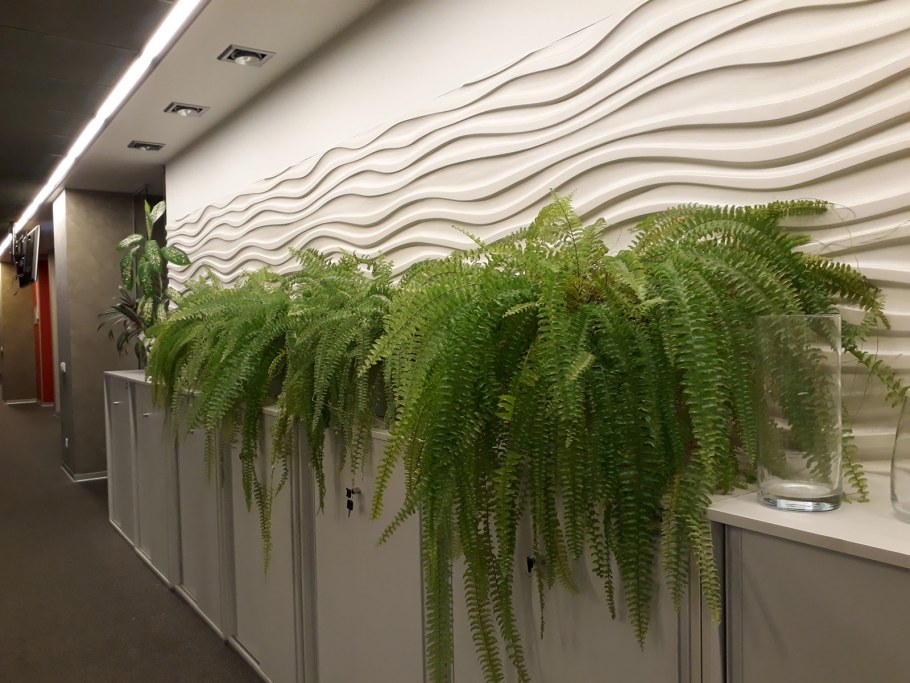 Вертикальное Озеленение Люмион