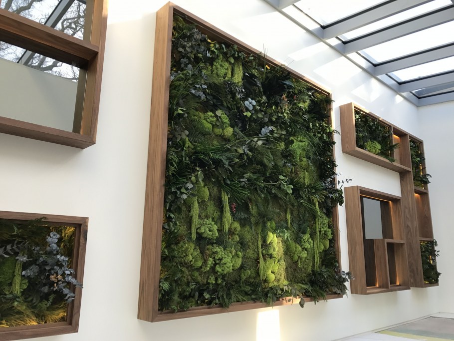 Настенное Озеленение