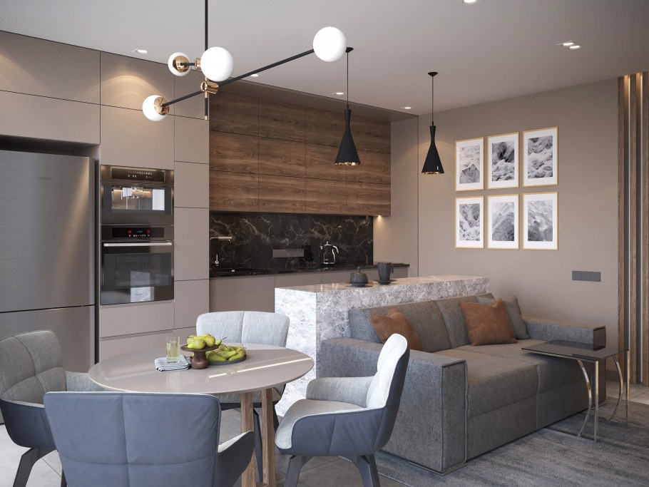 Кухня студия с гостиной 25 кв