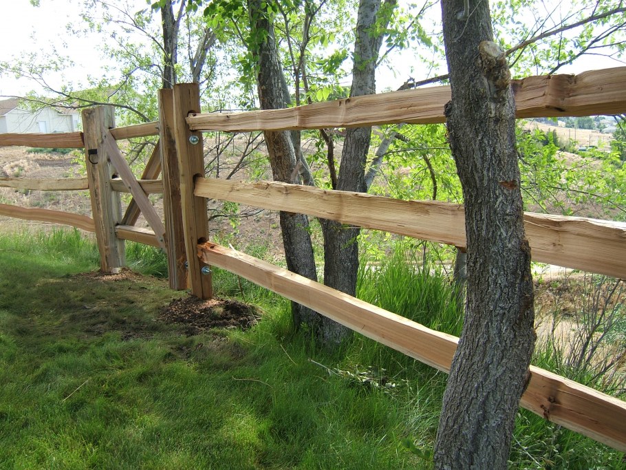 Ограждение из стволов деревьев