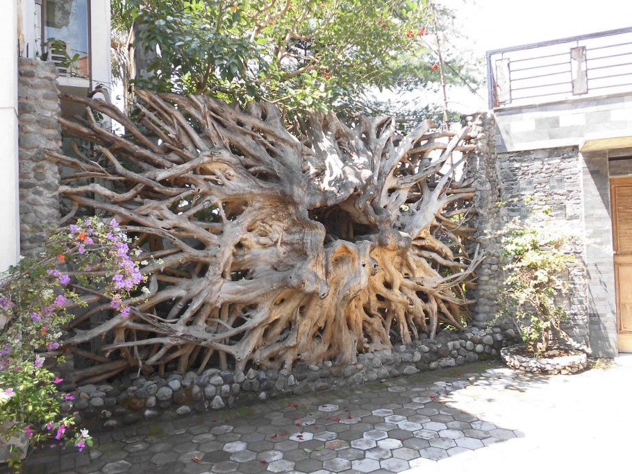 Забор из коряг и веток