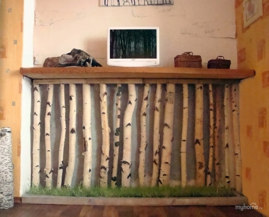 Перегородка из березовых стволов