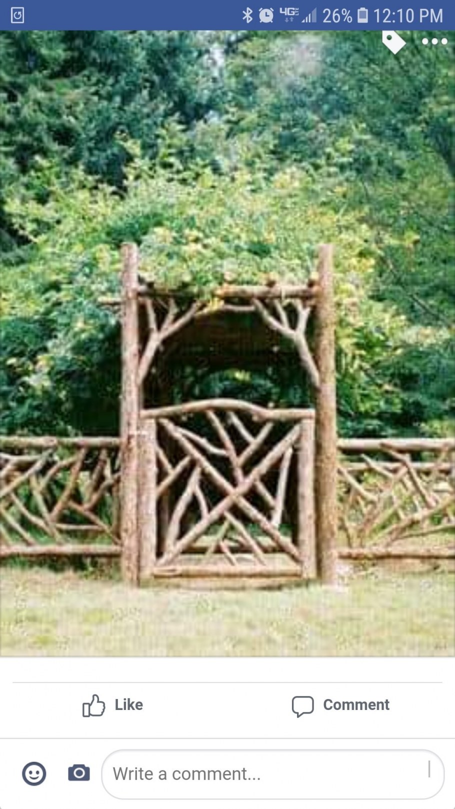 Забор из коряг