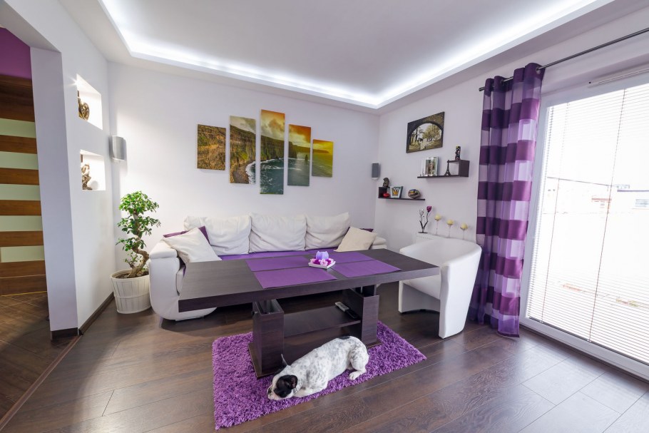 Ламинат с фиолетовой стеной