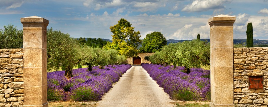 Деревянный забор с воротами