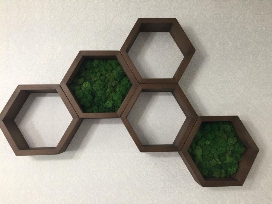 Полки соты с мхом в интерьере