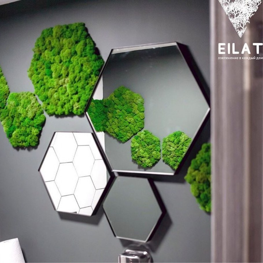 Стеклянные соты и дерево