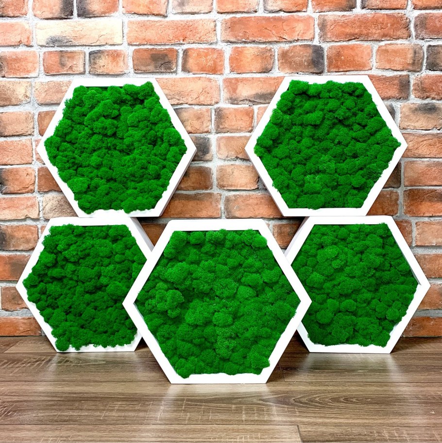 Деревянные полки соты