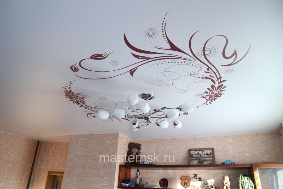 Натяжные потолки с фотопечатью для зала