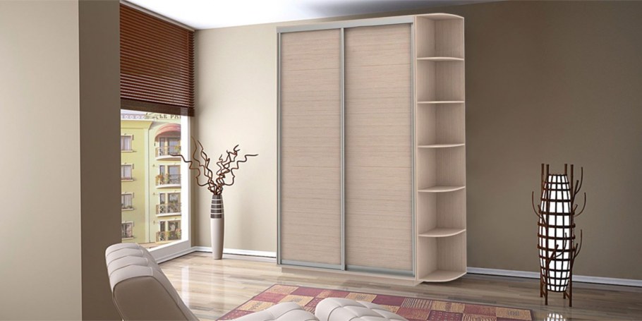 Шкаф-купе Байкал-Рамир 2