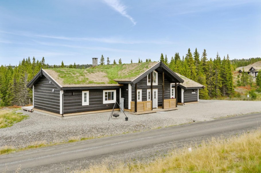 Скандинавский дом в Норвегии