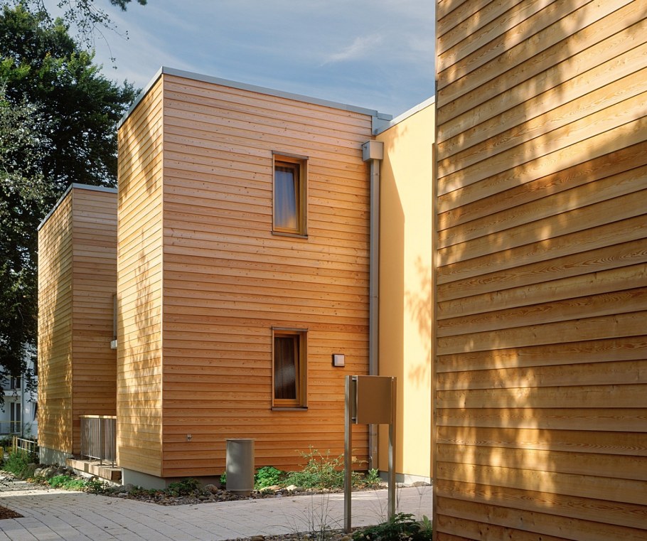 Планкен финский термососна