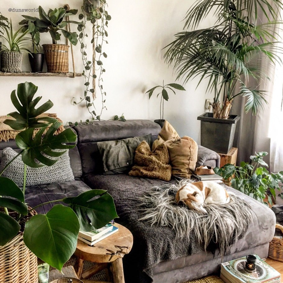 Интерьер в экостиле