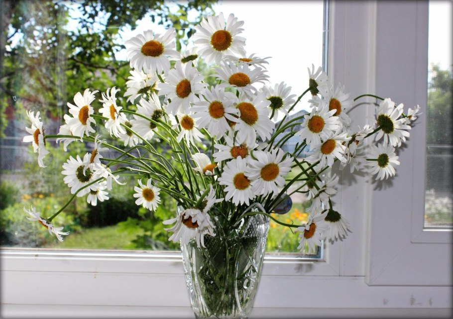 Тигр в интерьере