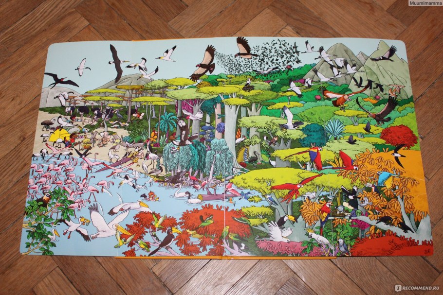 Изображение животных родного края