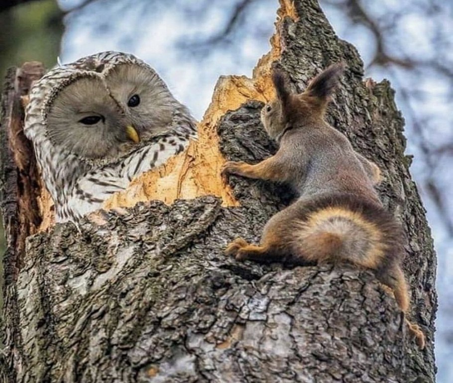 Комната в тропическом стиле