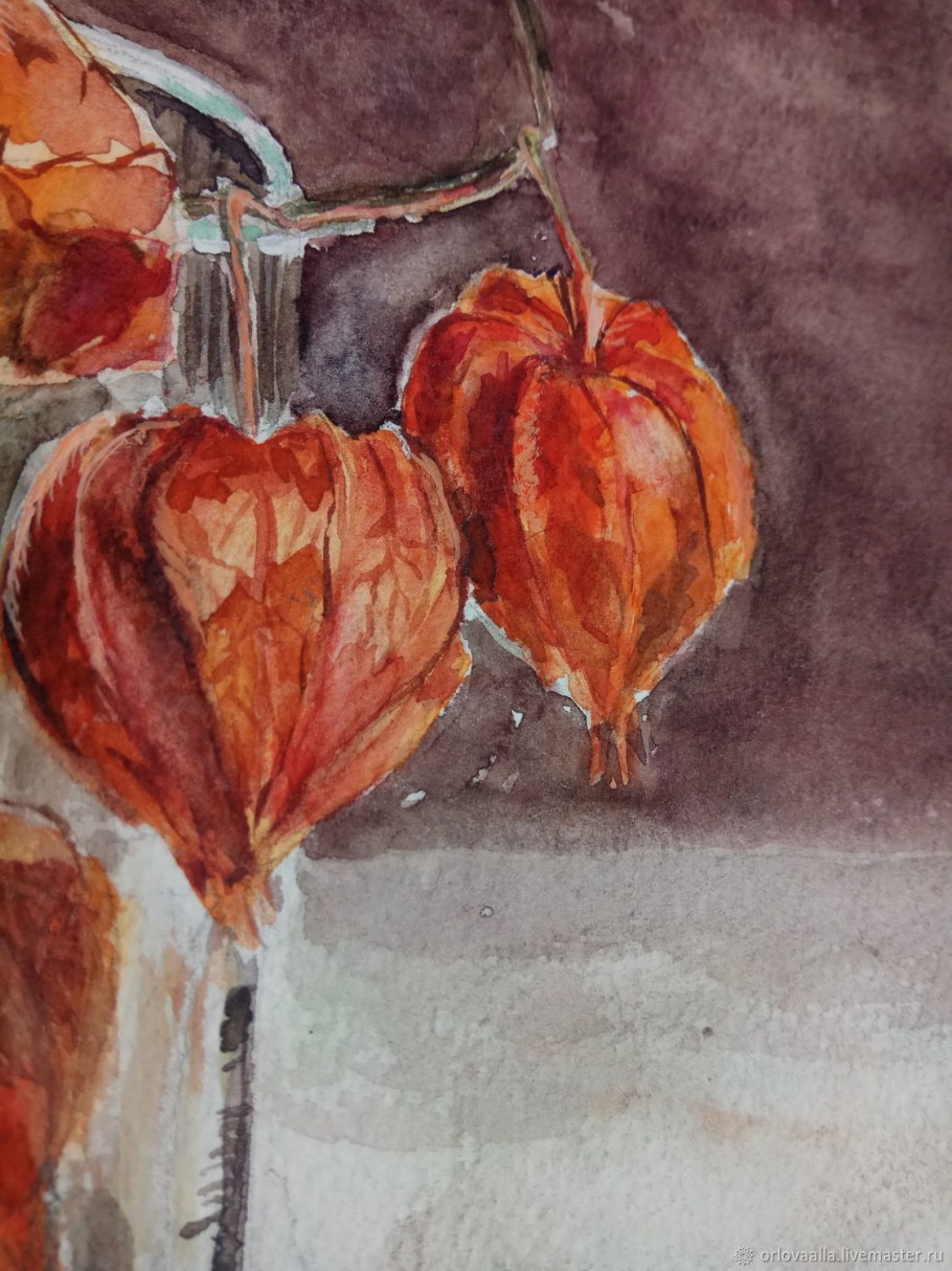 Оранжевые физалис высокий красивые картинки