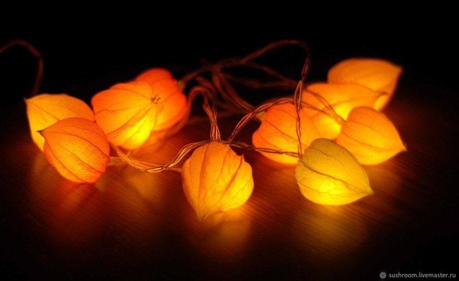 Самайн физалис