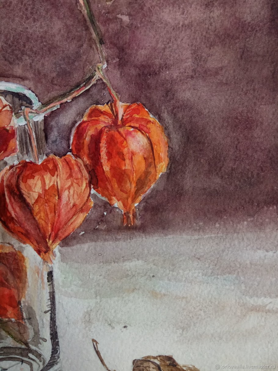 Цветы похожие на физалис