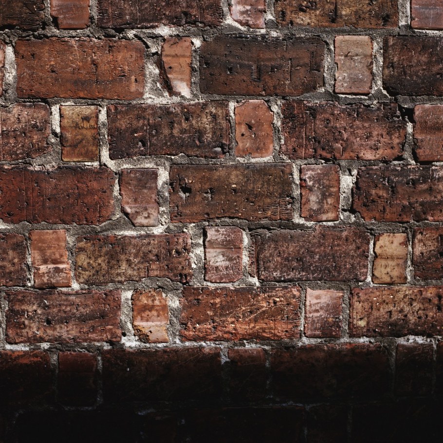 Кирпич ручной формовки terca® Archipolis Volt rood 240x65x40