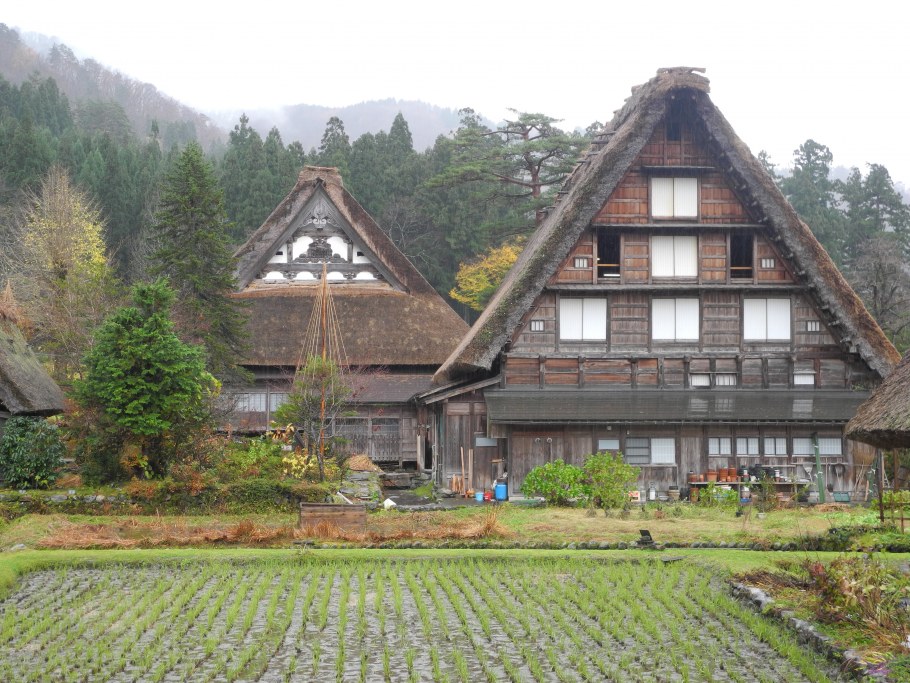 Хорюдзи золотой павильон