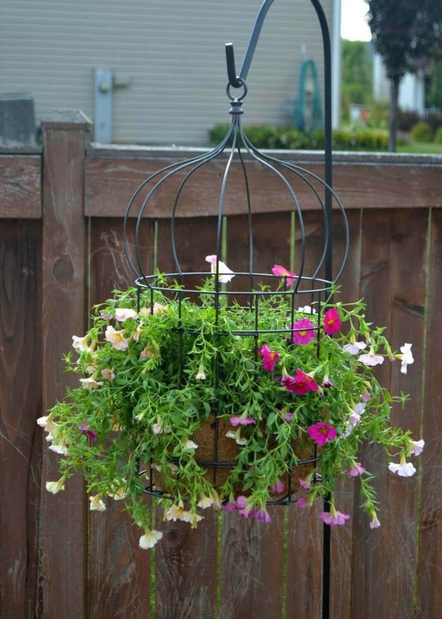 Подвесной цветник
