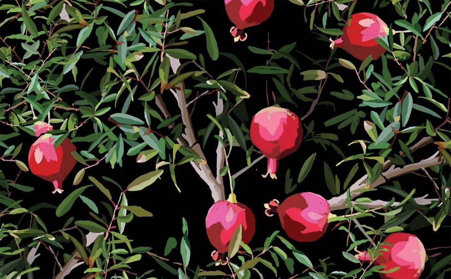 Гранаты обои настенные