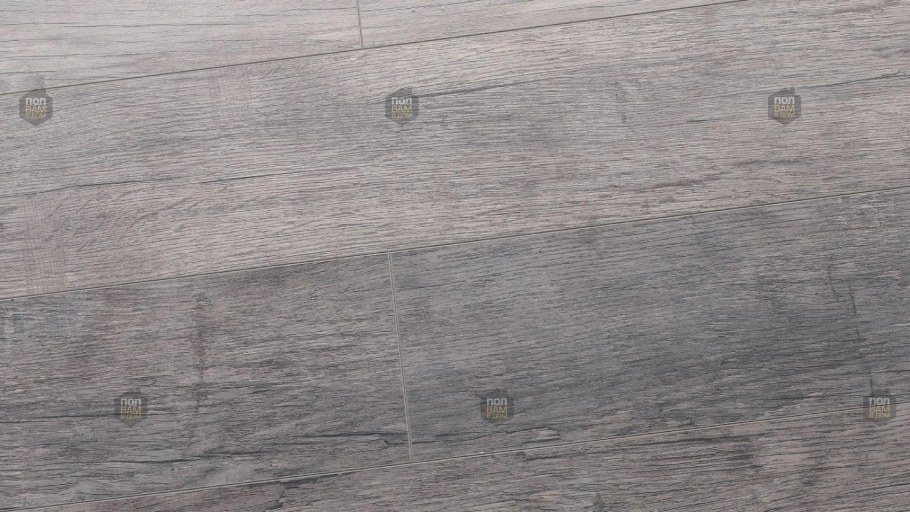 Дуб Санта паблик комфорт