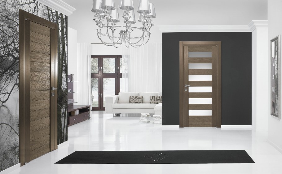 Темные межкомнатные двери в Светлом интерьере