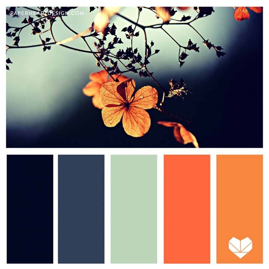 Сочетание цветов в интерьере палитра оранжевый