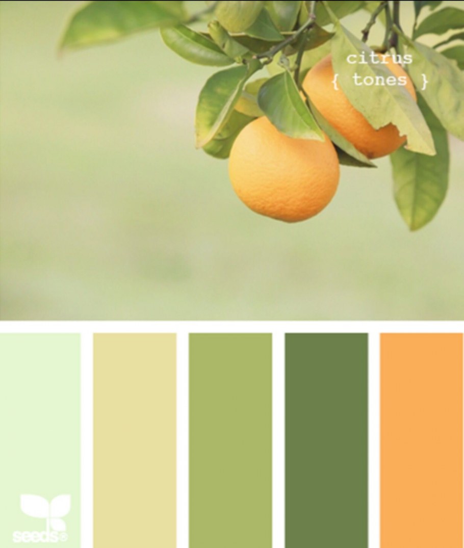 Сочетание цветов фисташковый