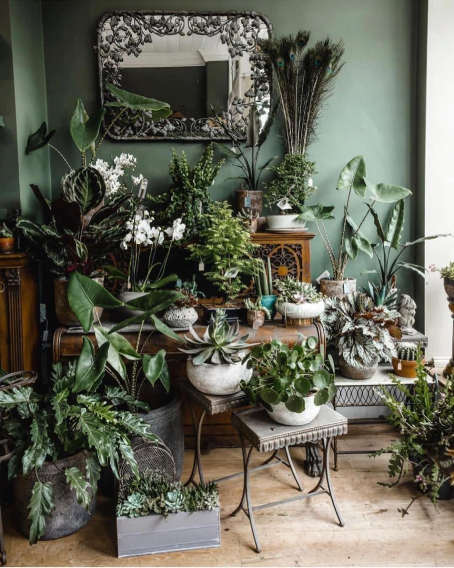 Полка для цветов