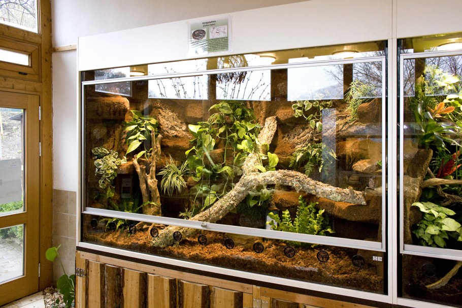 Интерьер комнаты с террариумами