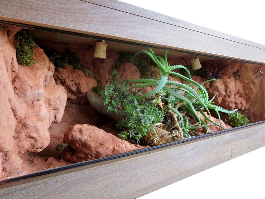 Аквариум с фитостеной