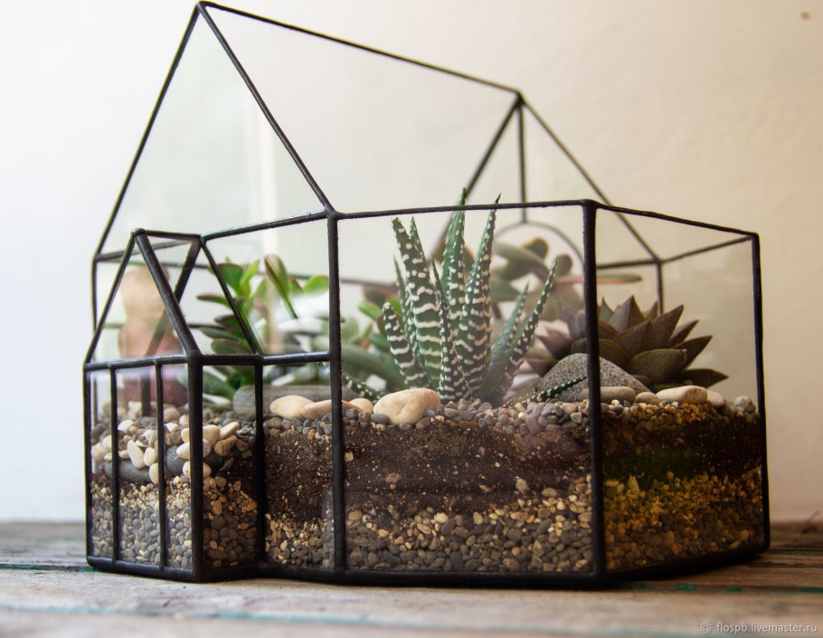 Палюдариум с черепахами