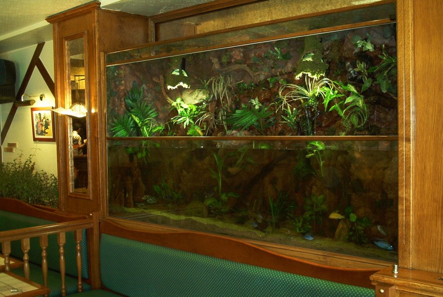 Гексагон флорариум