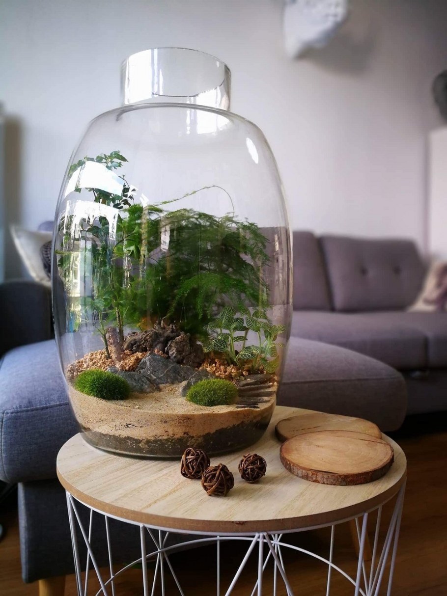 Просторный террариум